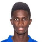 卢奇卢利